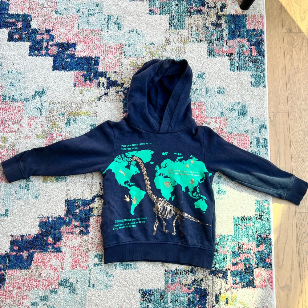 H&M dinosaur hoodie size 4-6